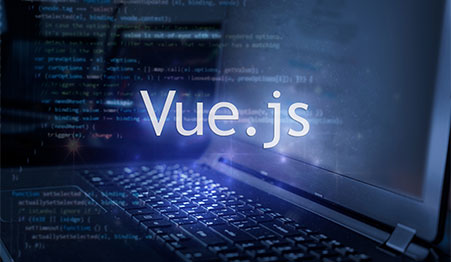 Vue.Js+Python solutions