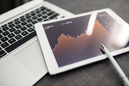 Crystal Reports Developer