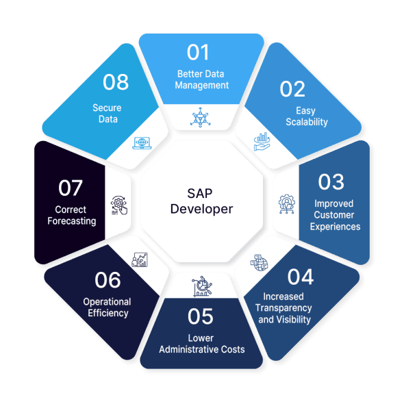 SAP Process