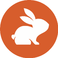 CodeRabbit 